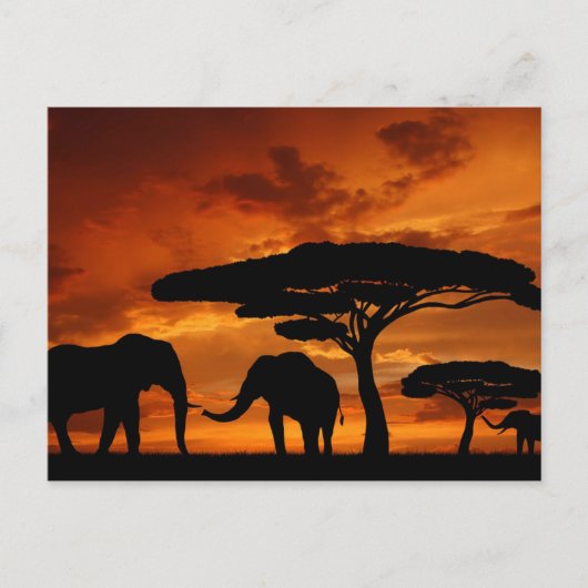 Safari African Baobab tree oliephant silhouette Briefkaart (Voorkant)