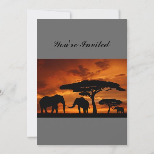 Safari African Baobab tree oliephant silhouette Kaart (Voorkant)