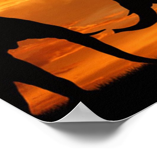 Safari African Baobab tree oliephant silhouette Poster (Hoek)