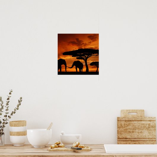 Safari African Baobab tree oliephant silhouette Poster (Keuken)