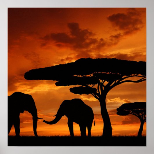 Safari African Baobab tree oliephant silhouette Poster (Voorkant)