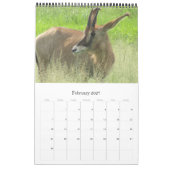 safari afrika 2026 kalender (Feb 2027)