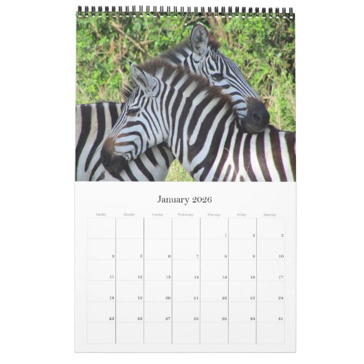 Safari Afrika 2026 Kalender (Jan 2026)