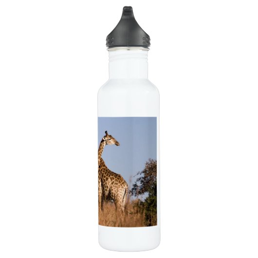 Safari Afrika Giraffes Waterfles (Rechts)
