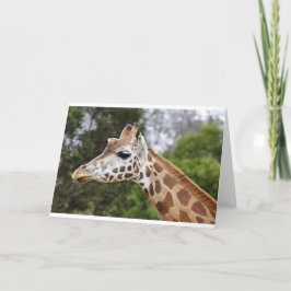 Safari Afrika Modieus Klasse Bestemming Giraffe Kaart
