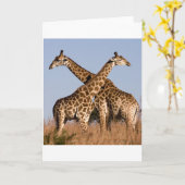 Safari Afrika Modieus Klasse Bestemming Giraffe Kaart (Gele Bloem)