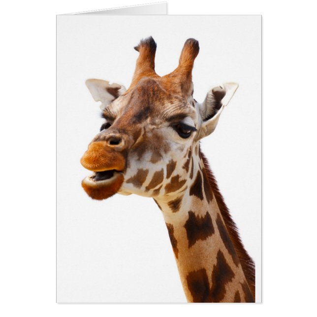 Safari Afrika Oerwoud Giraffe (Voorkant)