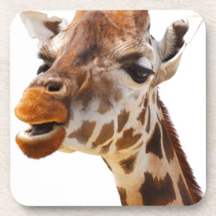Safari Afrika Oerwoud Giraffe Bier Onderzetter
