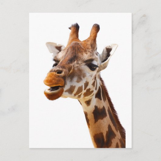 Safari Afrika Oerwoud Giraffe Briefkaart (Voorkant)