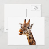 Safari Afrika Oerwoud Giraffe Briefkaart (Voorkant / Achterkant)