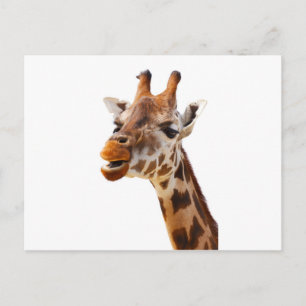 Safari Afrika Oerwoud Giraffe Briefkaart
