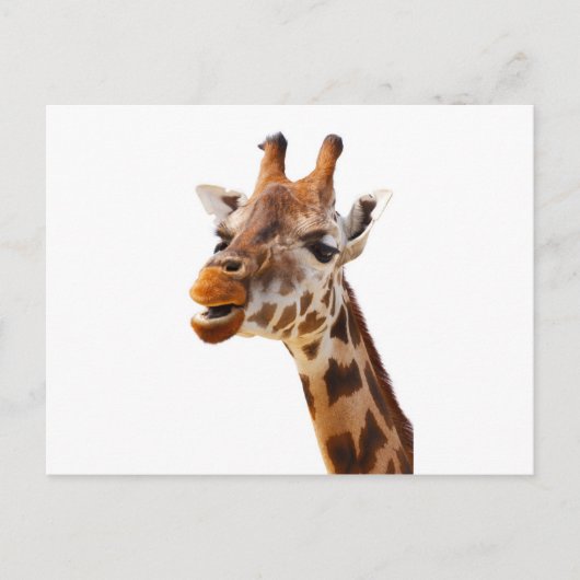 Safari Afrika Oerwoud Giraffe Briefkaart (Voorkant)
