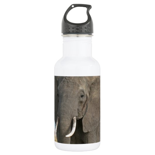 Safari Afrikaanse Jungle Bestemming Dieren Olifant Waterfles (Voorkant)