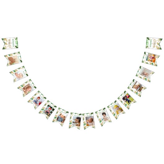 Safari Animals Oerwoud Wild One Happy Birthday Vlaggetjes (Alle)