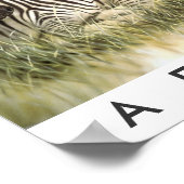 Safari Arica Poster (Hoek)