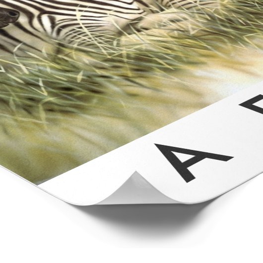 Safari Arica Poster (Hoek)