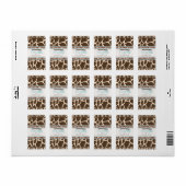 Safari Boy TY Mini Snoep Bar Label (Full Sheet)