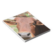 Safari Brown Koe Notitieblok (Schuin)