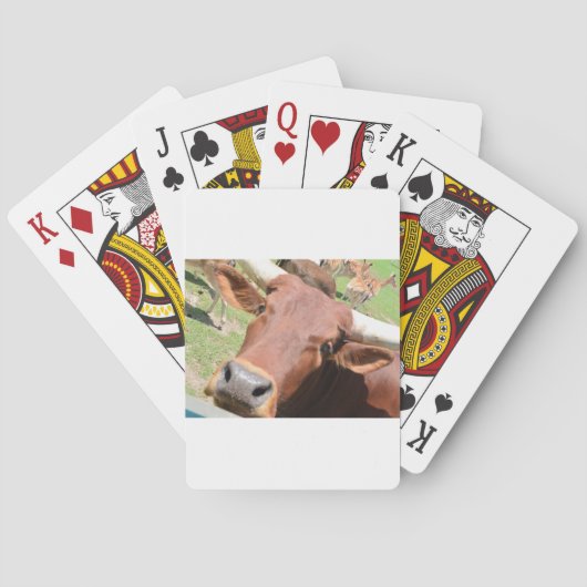 Safari Brown Koe Pokerkaarten (Achterkant)