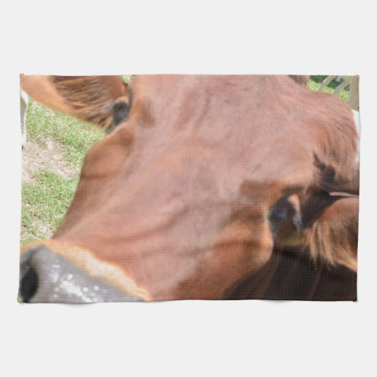 Safari Brown Koe Theedoek (Horizontaal)