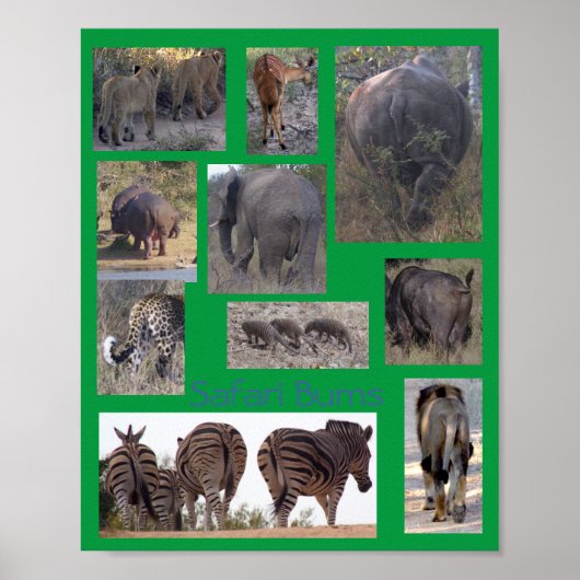 Safari Bums Poster (Voorkant)