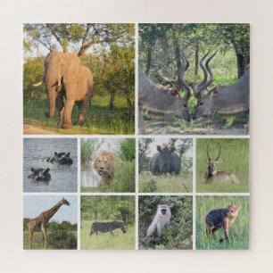 safari collage legpuzzel