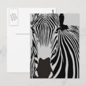 safari dier zwarte en witte strepen wilde Zebra Briefkaart (Voorkant / Achterkant)