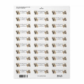 Safari-dieren gouden baby showers adresetiketten etiket (Full Sheet)