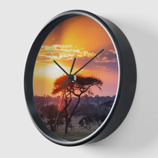 Safari in het Nationaal Park Serengeti (Hoek)