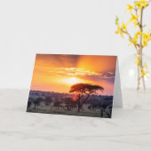 Safari in het Nationaal Park Serengeti Kaart (Gele Bloem)