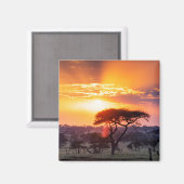 Safari in het Nationaal Park Serengeti Magneet (Voorkant / Achterkant)