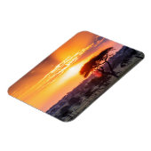 Safari in het Nationaal Park Serengeti Magneet (Linkerzijde)