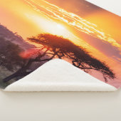 Safari in het Nationaal Park Serengeti Sherpa Deken (3/4)