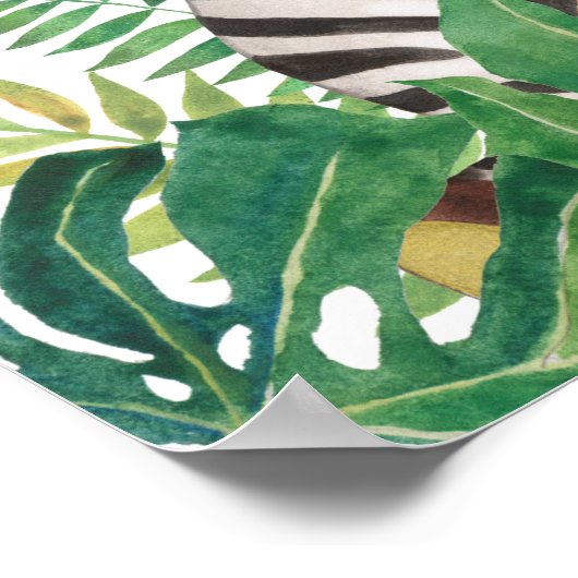 Safari in het Oerwoud Baby Zebra Poster (Hoek)