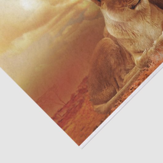 safari leeuwenpapier tissuepapier (Detail)