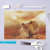 safari leeuwenpapier tissuepapier (Craft)