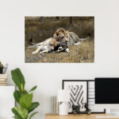 Safari-Lion Couple Poster (Thuiskantoor)