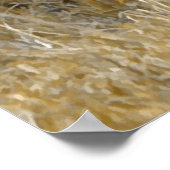 Safari - Lion Poster (Hoek)