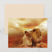 safari lions-briefkaart briefkaart (Voorkant / Achterkant)