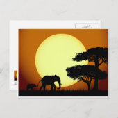 Safari-olifanten bij zonsondergang briefkaart (Voorkant / Achterkant)