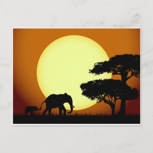 Safari-olifanten bij zonsondergang briefkaart