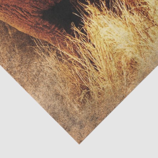 safari-olifantenpapier tissuepapier (Detail)