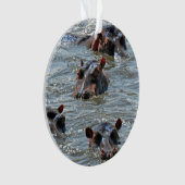 Safari Ornament 1 (voorkant)