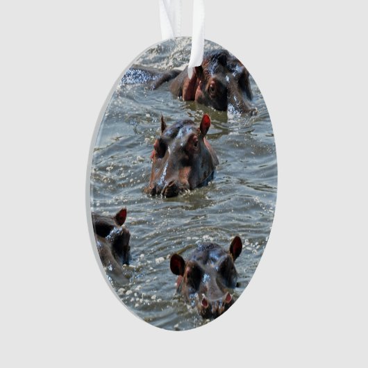 Safari Ornament 1 (voorkant)