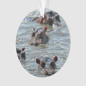 Safari Ornament 1 (voorkant)