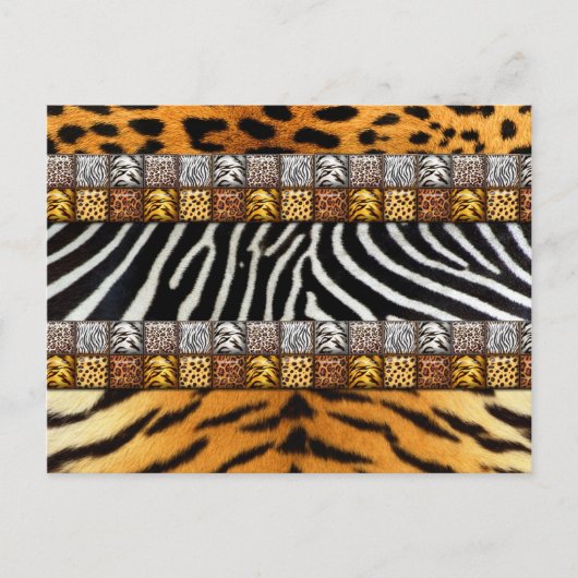 Safari Prints Briefkaart (Voorkant)