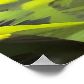 Safari Queen: Majestueuze Afrikaanse Vrouw Rode Ve Poster (Hoek)