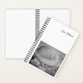 Safari Sketchbook Notitieboek (Binnen)