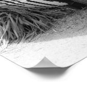 Safari Station Zebra Gestreepte Tour Bus Poster (Hoek)