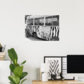 Safari Station Zebra Gestreepte Tour Bus Poster (Thuiskantoor)